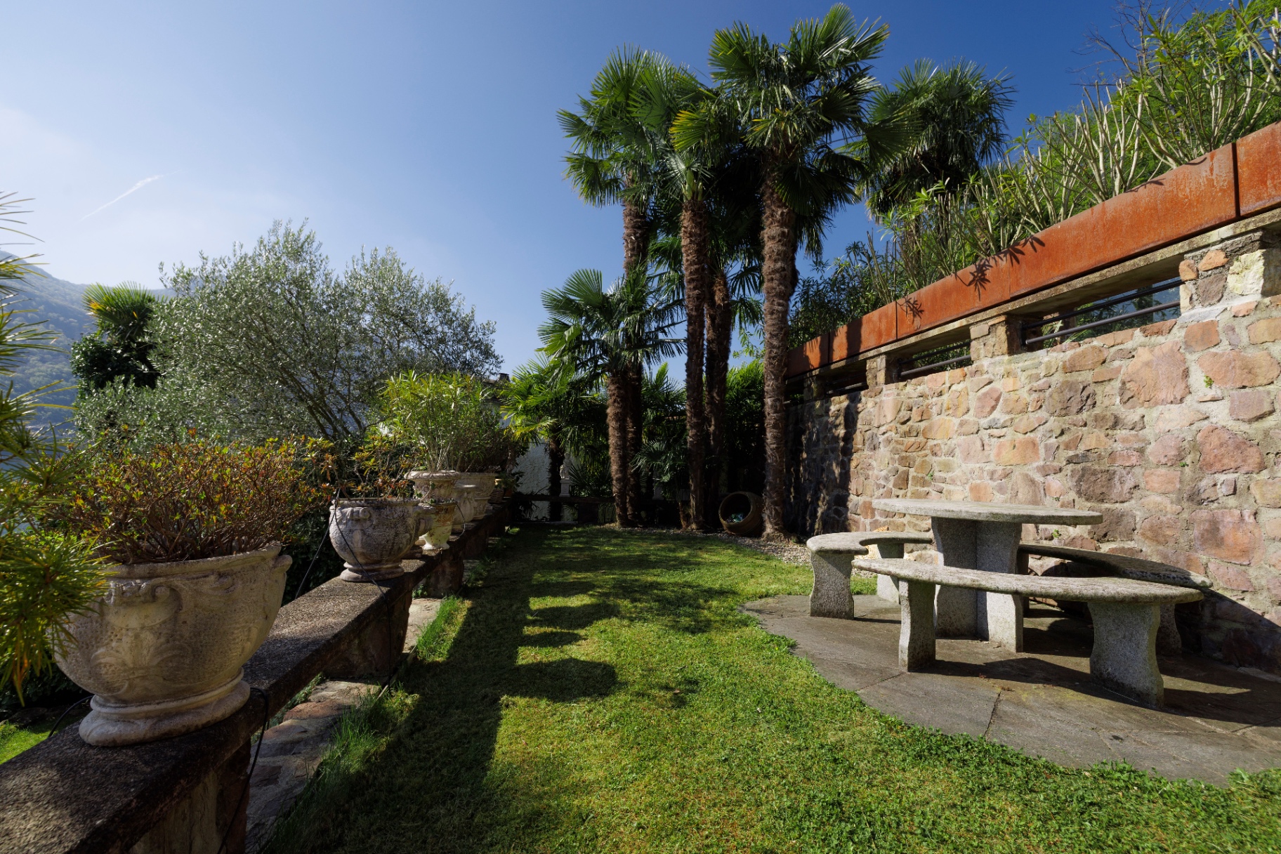 Mediterranean garden